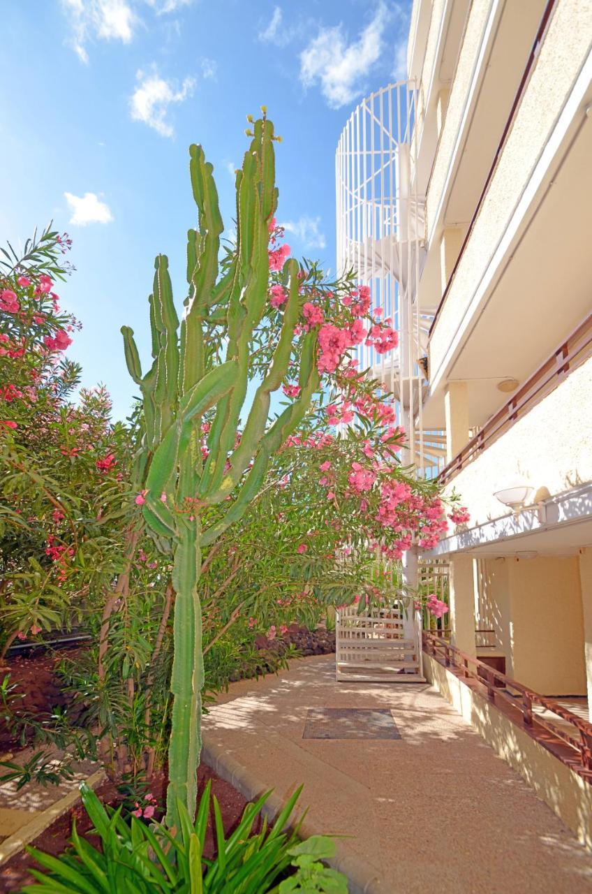 Apartamentos Los Juncos I Playa del Ingles  Exterior foto